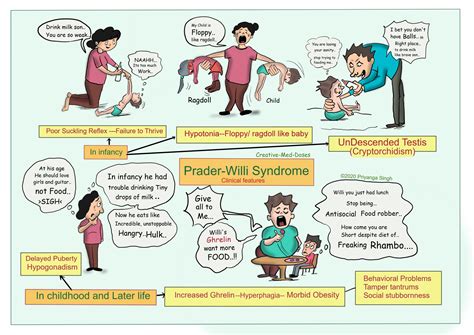 prader willi syndrome treatment